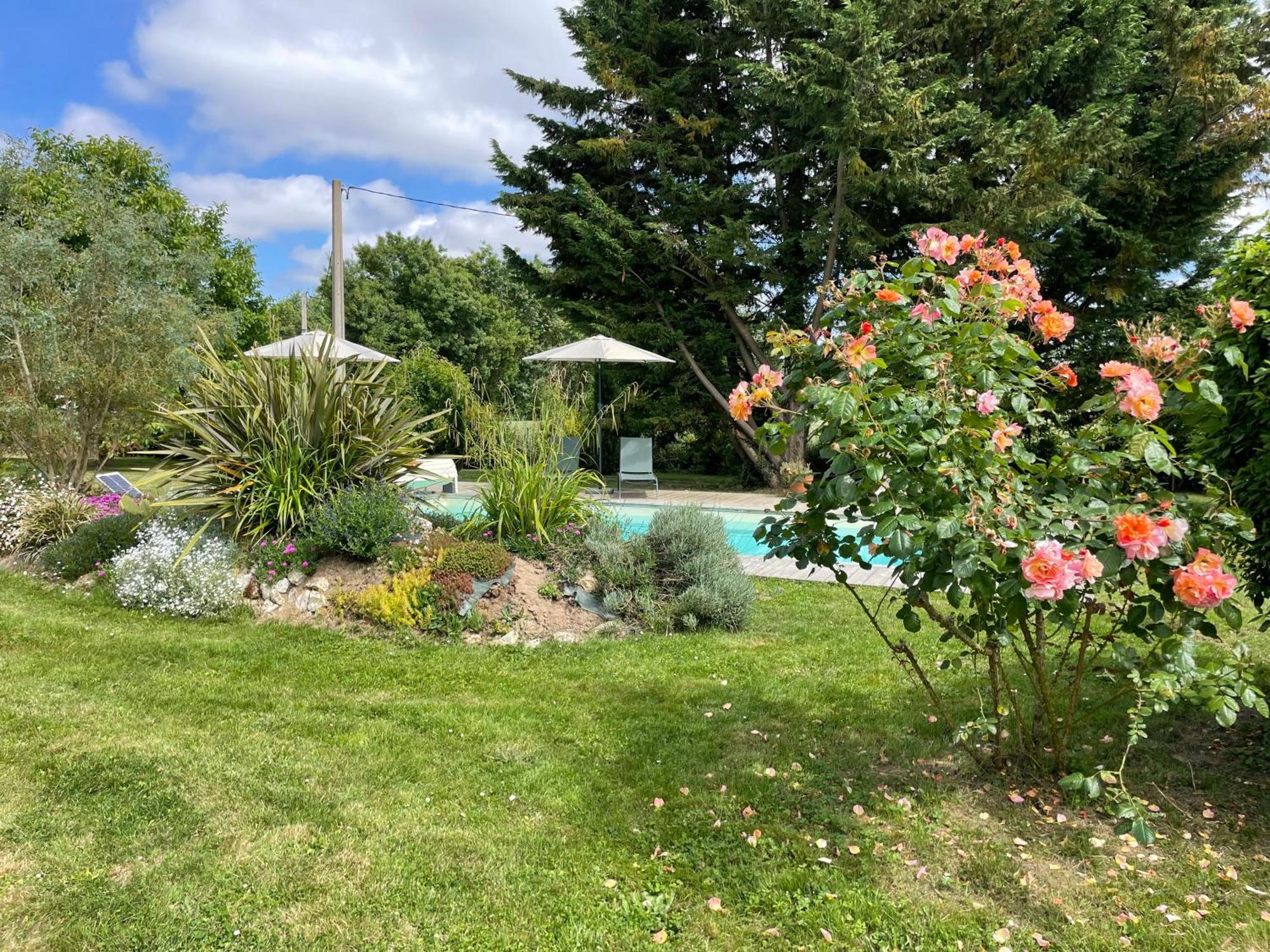 Chambres D Hotes Avec Piscine Et Spa La Foliere Saumur Villebernier Exterior foto
